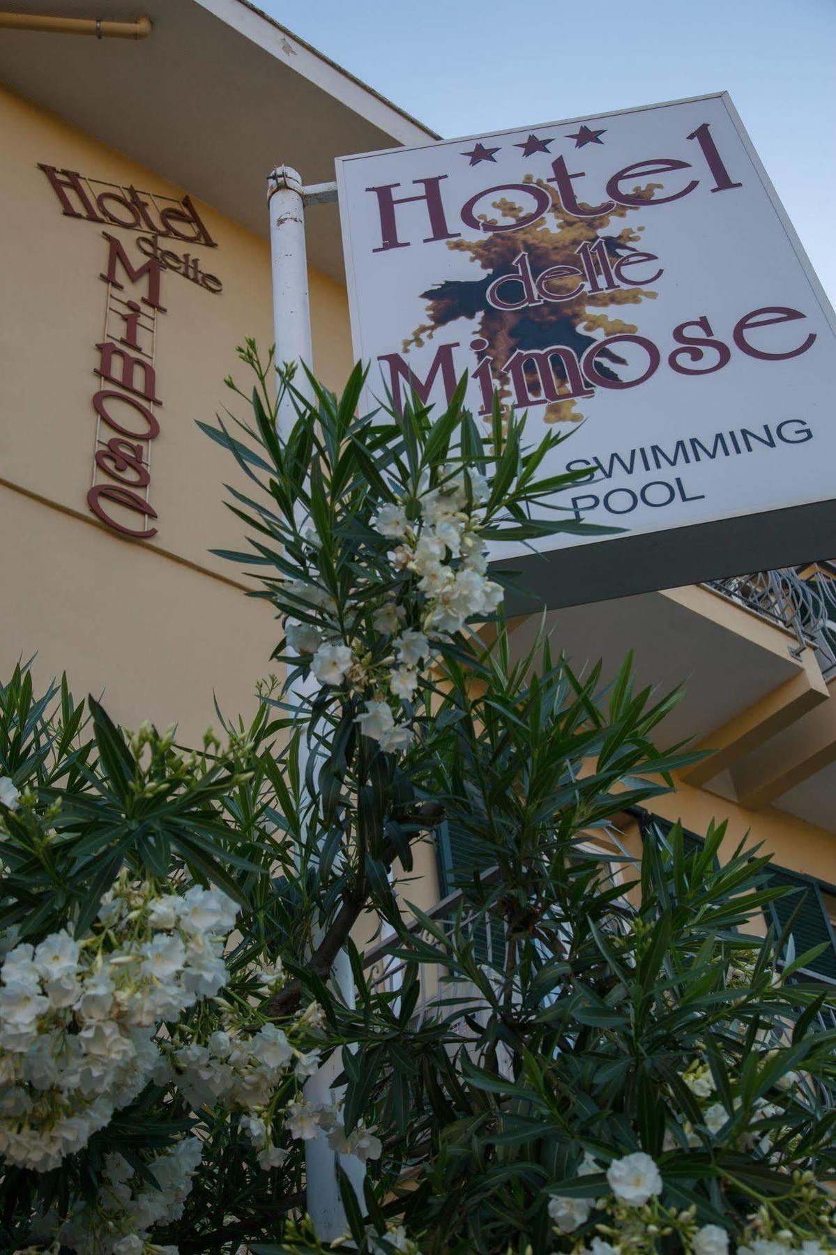 Hotel Delle Mimose Діано-Марина Екстер'єр фото